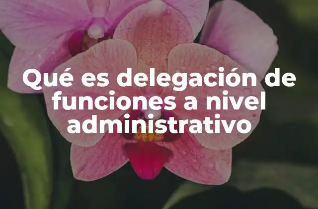 Qué es Delegación de Funciones a Nivel Administrativo 2 La importancia de la delegación en la gestión pública