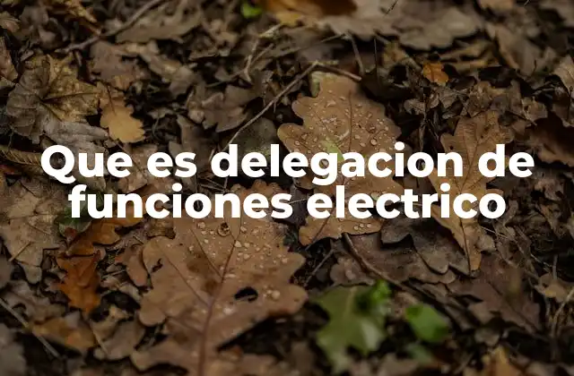 Que es Delegacion de Funciones Electrico