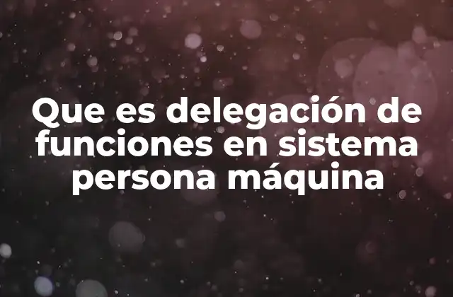 Que es Delegación de Funciones en Sistema Persona Máquina