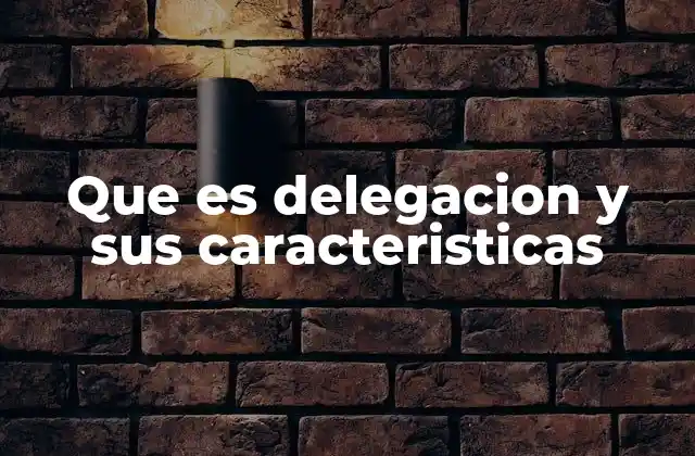 Que es Delegacion y Sus Caracteristicas