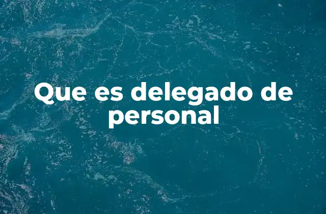 Que es Delegado de Personal
