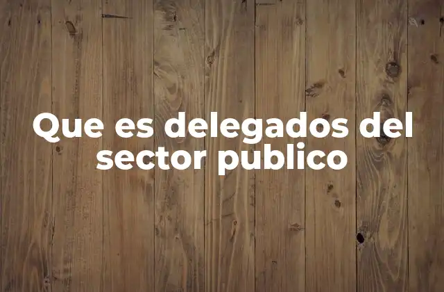 Que es Delegados Del Sector Publico