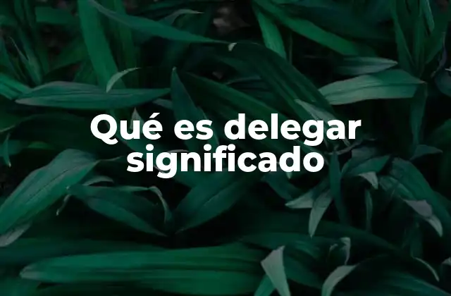 Qué es Delegar Significado