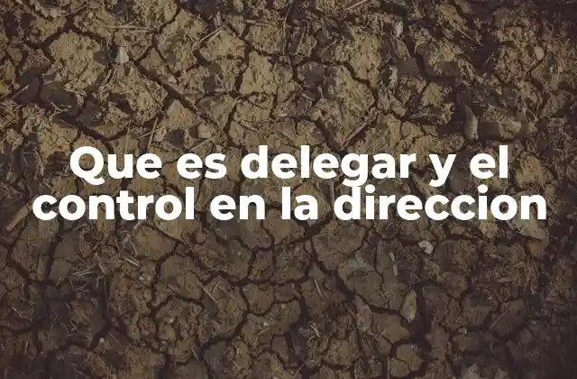 Que es Delegar y el Control en la Direccion