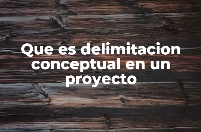 Que es Delimitacion Conceptual en un Proyecto