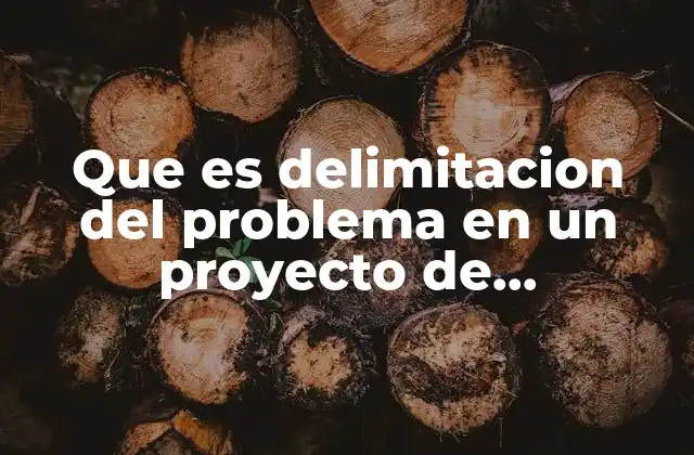 Que es Delimitacion Del Problema en un Proyecto de Investigacion
