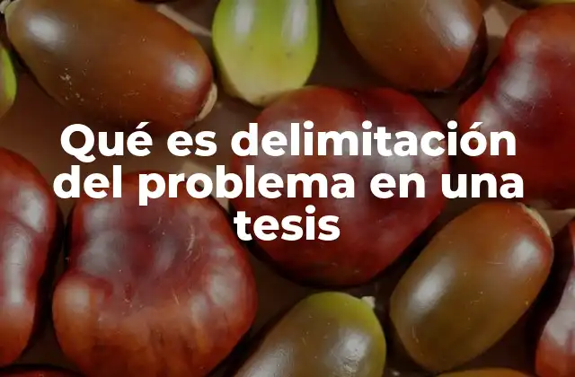 Qué es Delimitación Del Problema en una Tesis