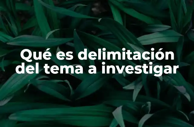Qué es Delimitación Del Tema a Investigar