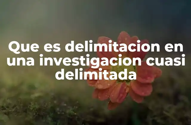 Que es Delimitacion en una Investigacion Cuasi Delimitada