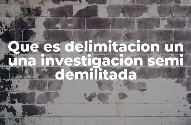 Que es Delimitacion un una Investigacion Semi Demilitada