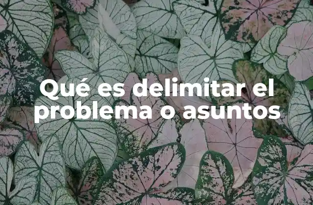 Qué es Delimitar el Problema o Asuntos