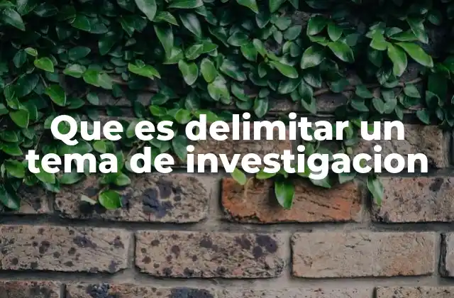 Que es Delimitar un Tema de Investigacion