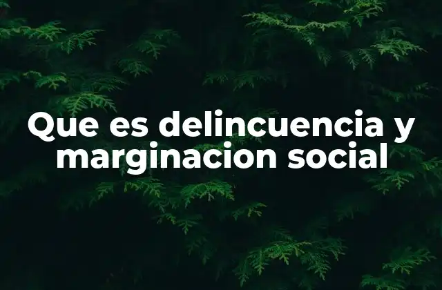 Que es Delincuencia y Marginacion Social