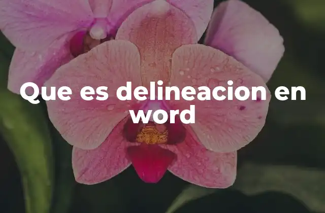 Que es Delineacion en Word