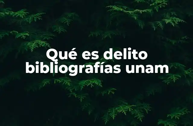 Qué es Delito Bibliografías Unam