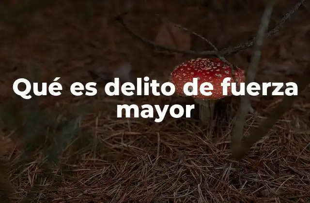 Qué es Delito de Fuerza Mayor