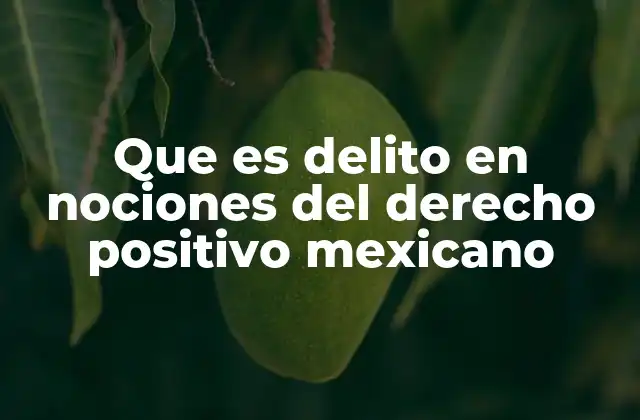 Que es Delito en Nociones Del Derecho Positivo Mexicano