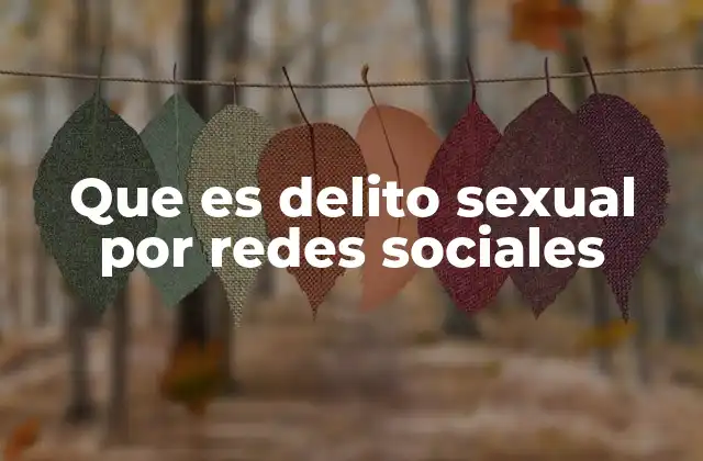Que es Delito Sexual por Redes Sociales