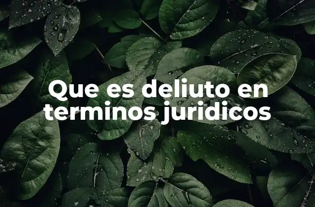 Elementos que constituyen un delito