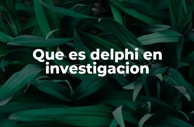 Que es Delphi en Investigacion