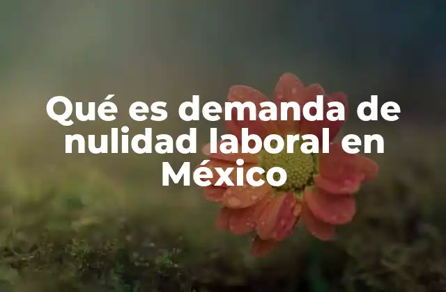 Situaciones en las que se puede presentar una demanda de nulidad laboral