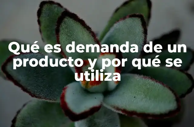 Qué es Demanda de un Producto y por Qué Se Utiliza