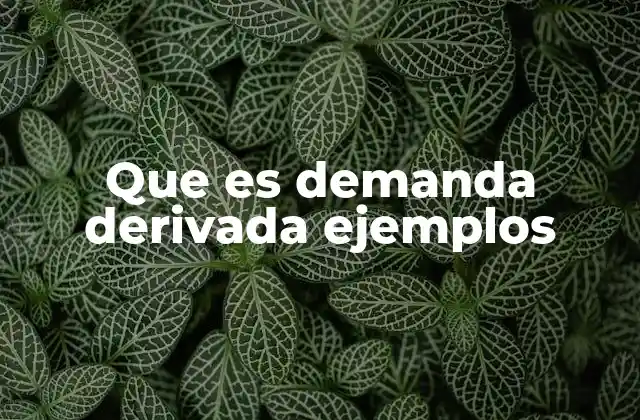 Factores que influyen en la demanda derivada