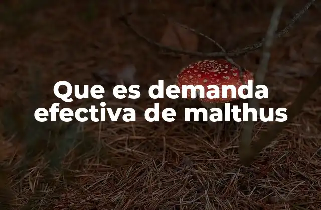 Que es Demanda Efectiva de Malthus