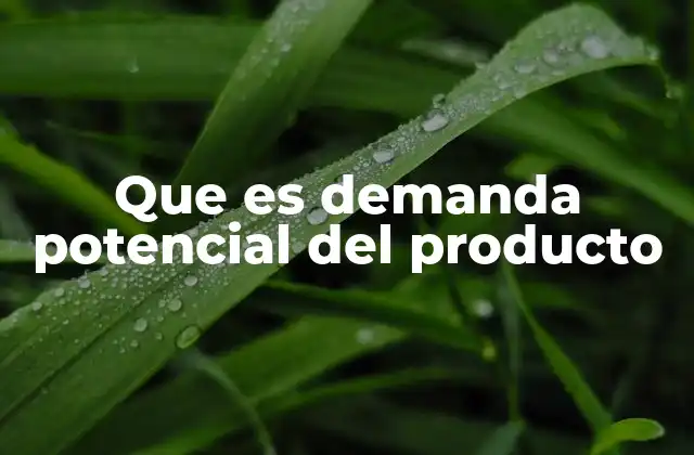 Que es Demanda Potencial Del Producto