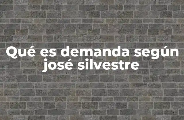 Qué es Demanda según José Silvestre