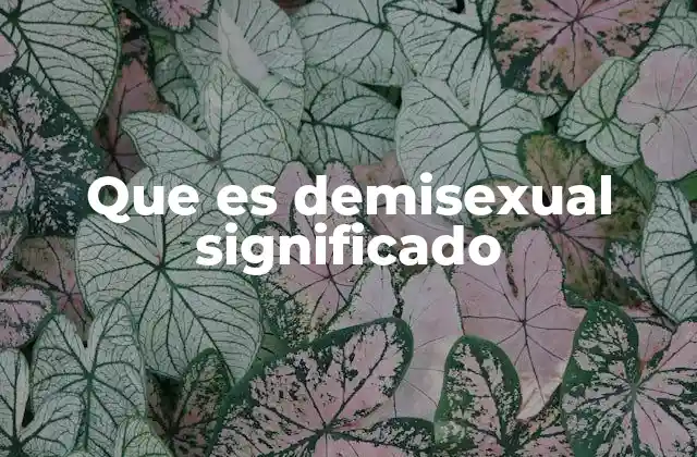 Que es Demisexual Significado