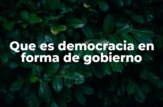 Que es Democracia en Forma de Gobierno