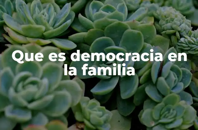 Que es Democracia en la Familia