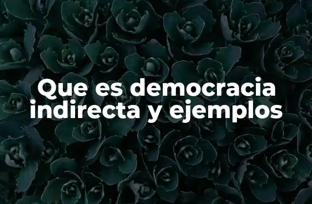 Que es Democracia Indirecta y Ejemplos