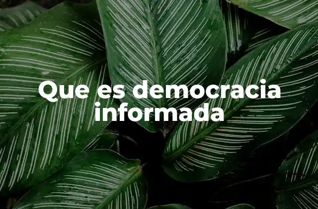 Que es Democracia Informada 2 La base de una sociedad democrática saludable