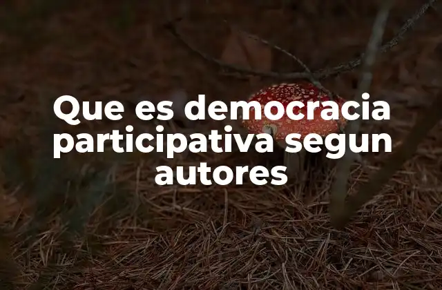Que es Democracia Participativa Segun Autores