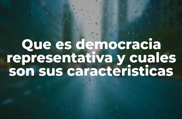 Que es Democracia Representativa y Cuales Son Sus Caracteristicas