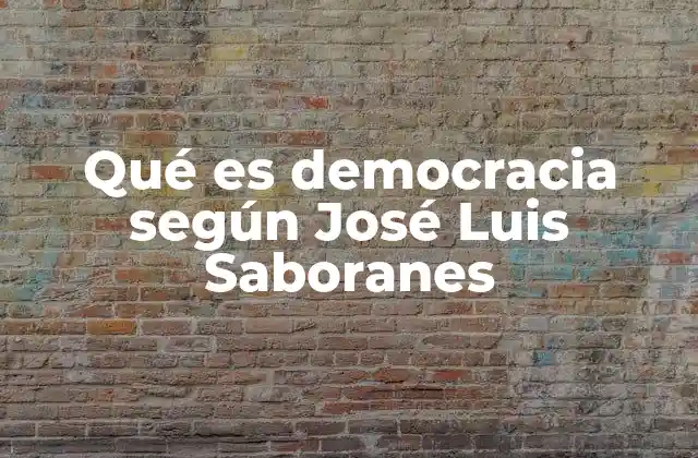 Qué es Democracia según José Luis Saboranes