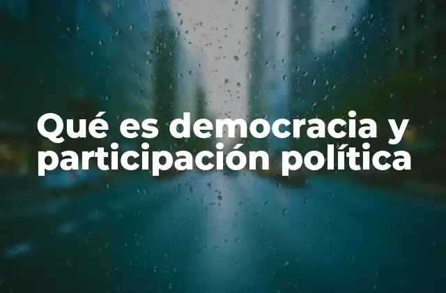 Qué es Democracia y Participación Política