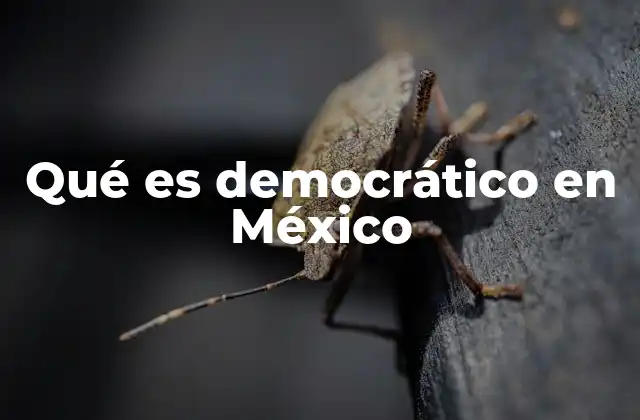 Qué es Democrático en México