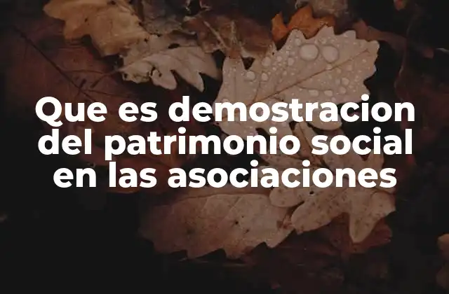 Que es Demostracion Del Patrimonio Social en las Asociaciones