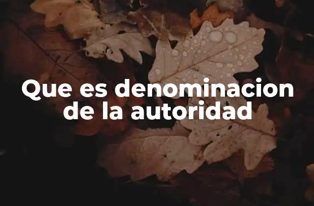 Que es Denominacion de la Autoridad