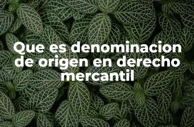 Que es Denominacion de Origen en Derecho Mercantil