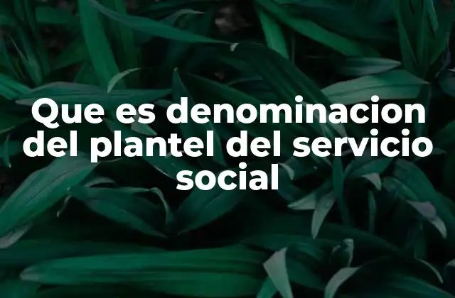 Que es Denominacion Del Plantel Del Servicio Social