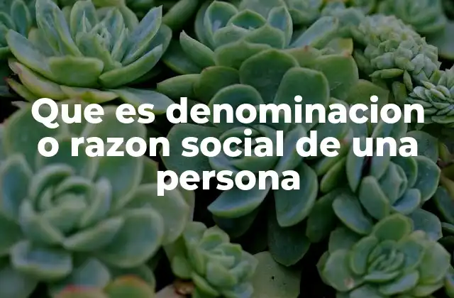 Que es Denominacion o Razon Social de una Persona 2 El papel de la identidad legal en las personas y organizaciones