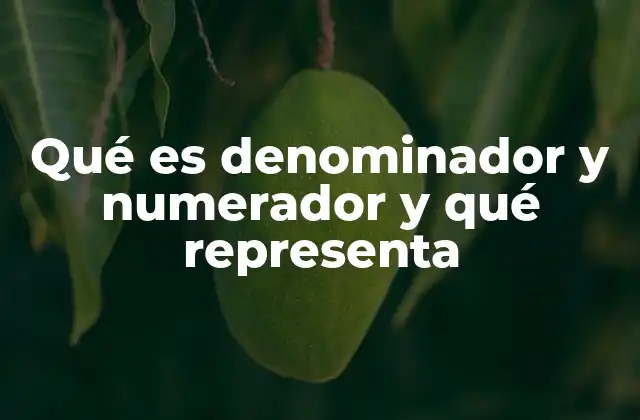 Qué es Denominador y Numerador y Qué Representa