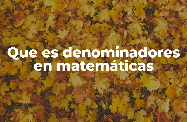 Que es Denominadores en Matemáticas