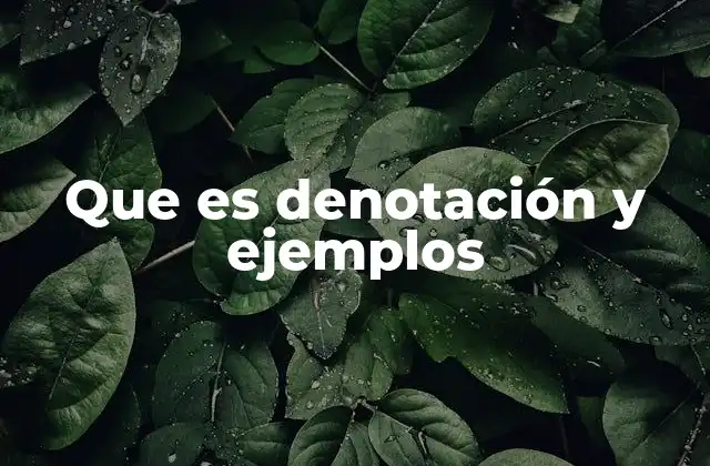 Que es Denotación y Ejemplos