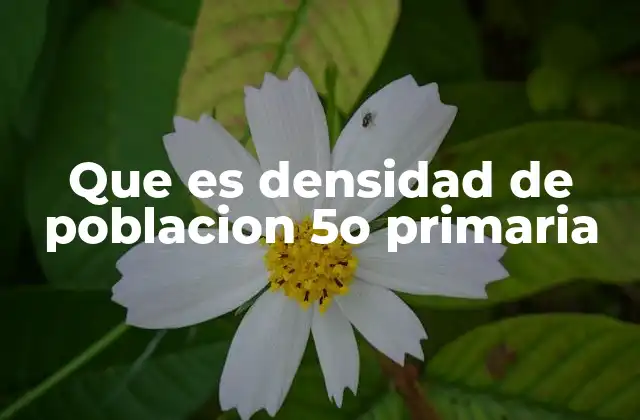 Que es Densidad de Poblacion 5o Primaria