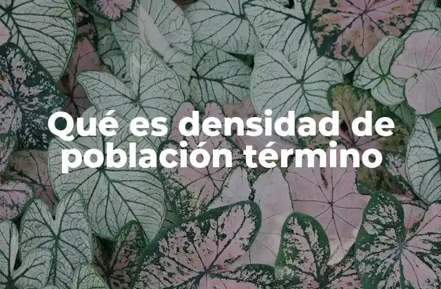 Qué es Densidad de Población Término